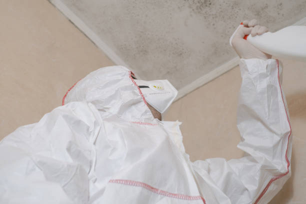 Best Mold Damage Repair  in Olathe, CO