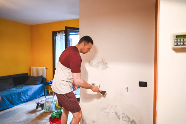 Best Mold Testing  in Olathe, CO